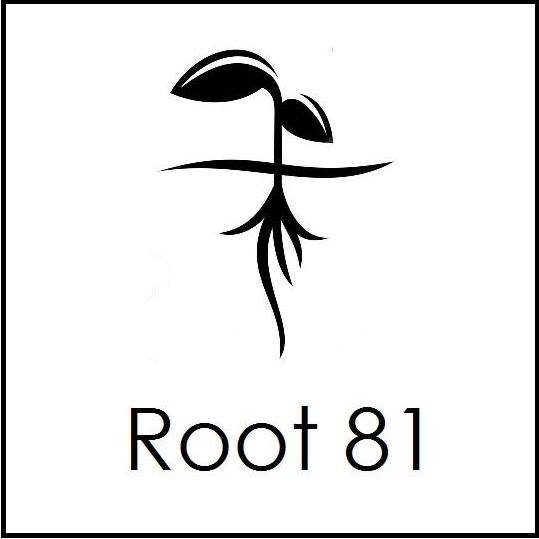 Root 81